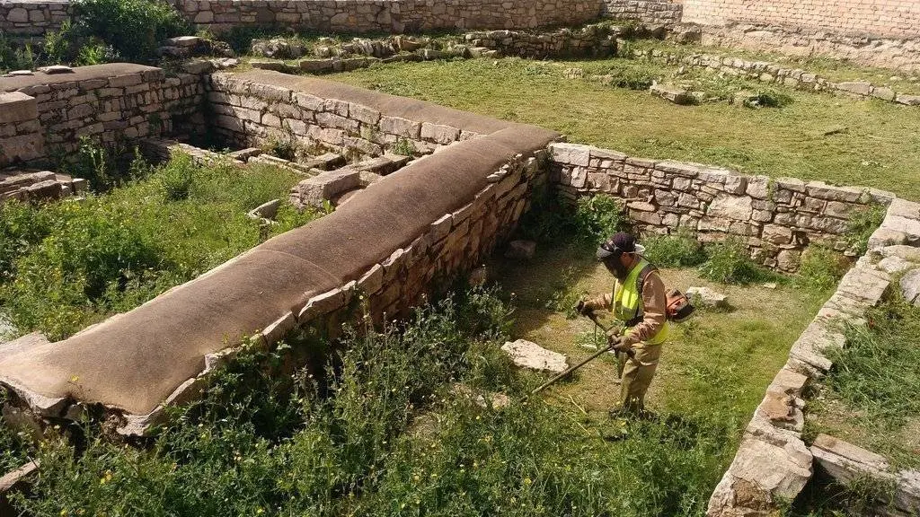 Avui s'ha retirat la vegetació que envaïa el recinte de l'antiga adoberia de Tàrrega