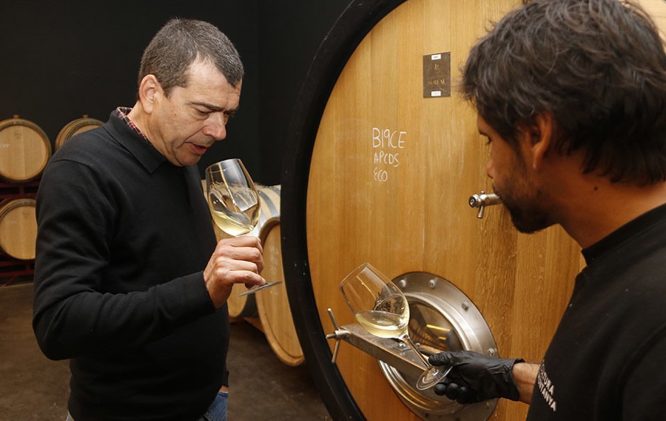 El president de la DO Costers del Segre, Tomàs Cusiné, fent un tast de vi a la bodega Cérvoles