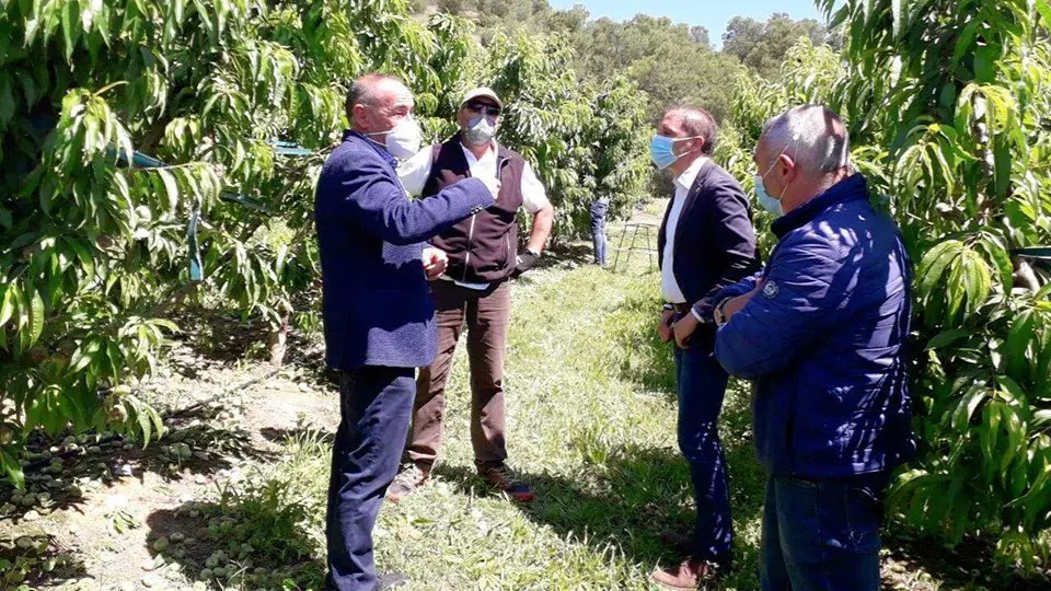 El subdelegat del Govern a Lleida, José Crespín visita una finca a Alcarràs