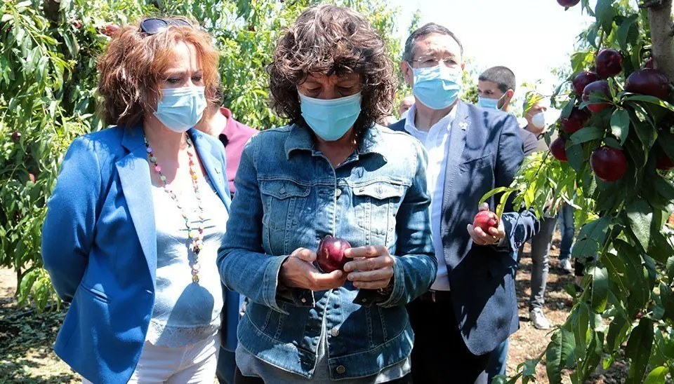 La consellera Teresa Jordà, visita una finca afectada a Soses