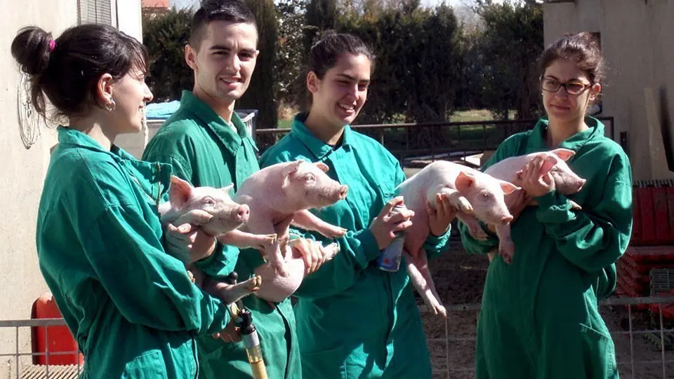 Estudiants de Ciencia i  Salut Animal de la UdL