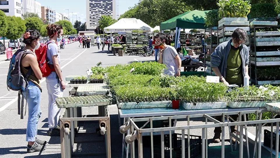 Pla general d'una parada de planter d'hora aquest dissabte al migdia al mercat del Barris Nord de Lleida, el 2 de maig de 2020. (Horitzontal)