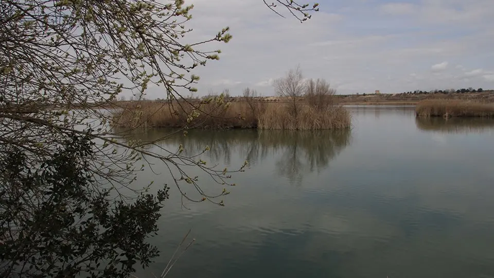 Imatge de l'Estany d'Ivars i Vila-sana @Territoriscat