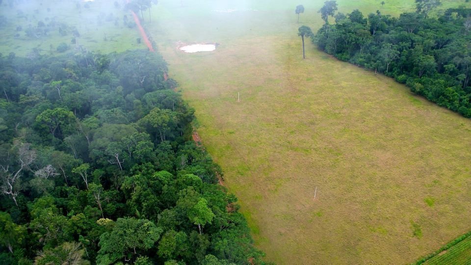 Contrast entre zones forestals i agrícoles a Acre, al Brasil - Kate Evans - CIFOR 