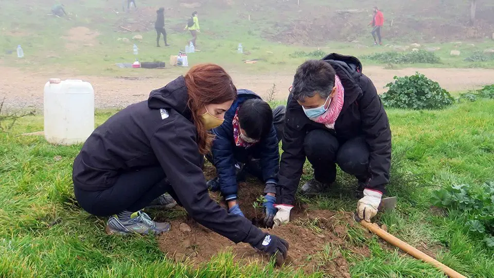 Una de les famílies participants en la plantada d'arbres a la Seu Vella