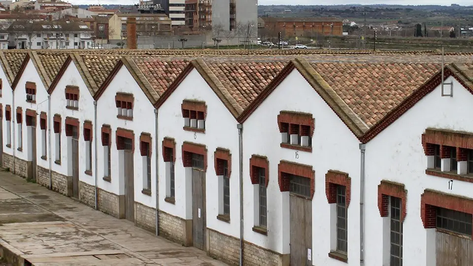 Naus 14, 15 i 16 de Cal Trepat, les cobertes de les quals han estat objecte de restauració