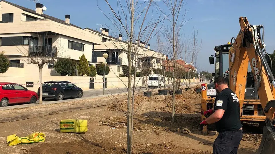 Operaris de la brigada municipal treballant en la planatació de 130 nous arbres