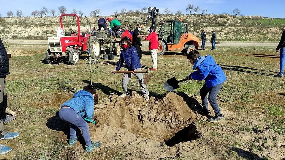 Els mès petits participen en la plantada d'arbres a Castellserà @CanalViu