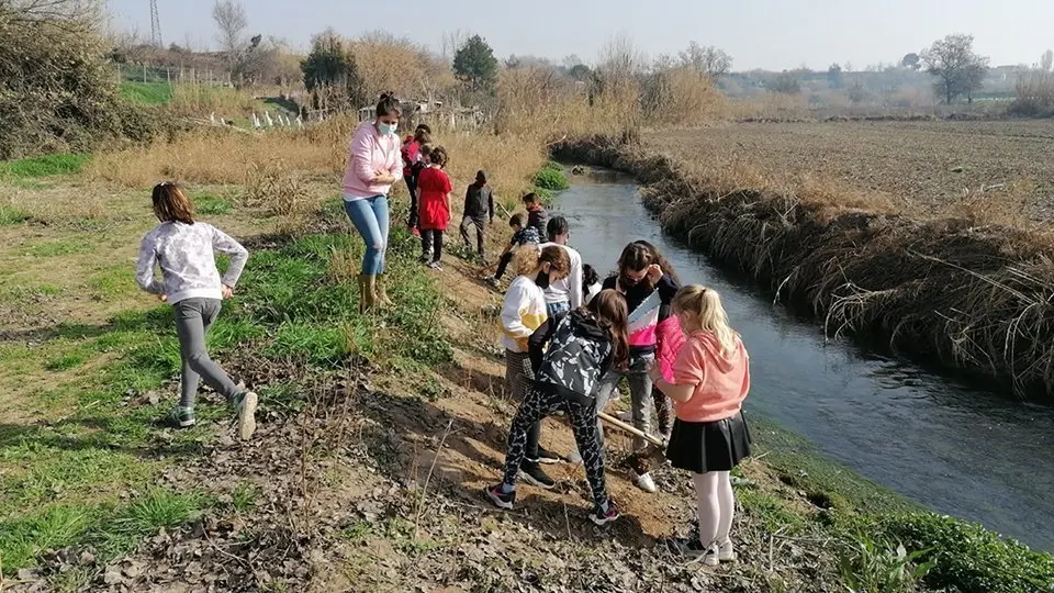 Els escolars treballant a la llera de la Femosa de Juneda