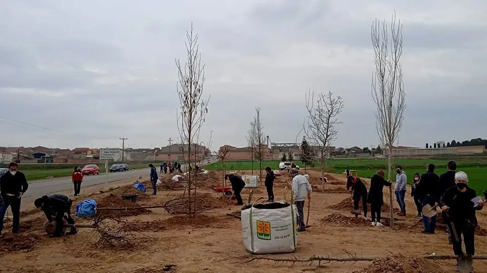 Plantada d'arbres a l'antiga casella dels canalés del Canal d'Urgell de Torregrossa, @FemLlavor 1