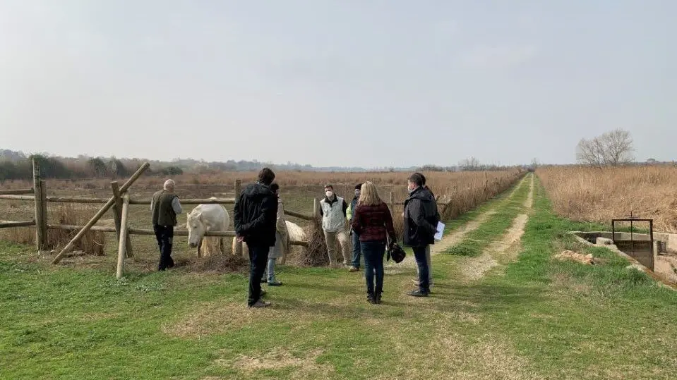 Millora Estany d'Ivars i Vila-sana - Imatge cedida per la Diputació de Lleida