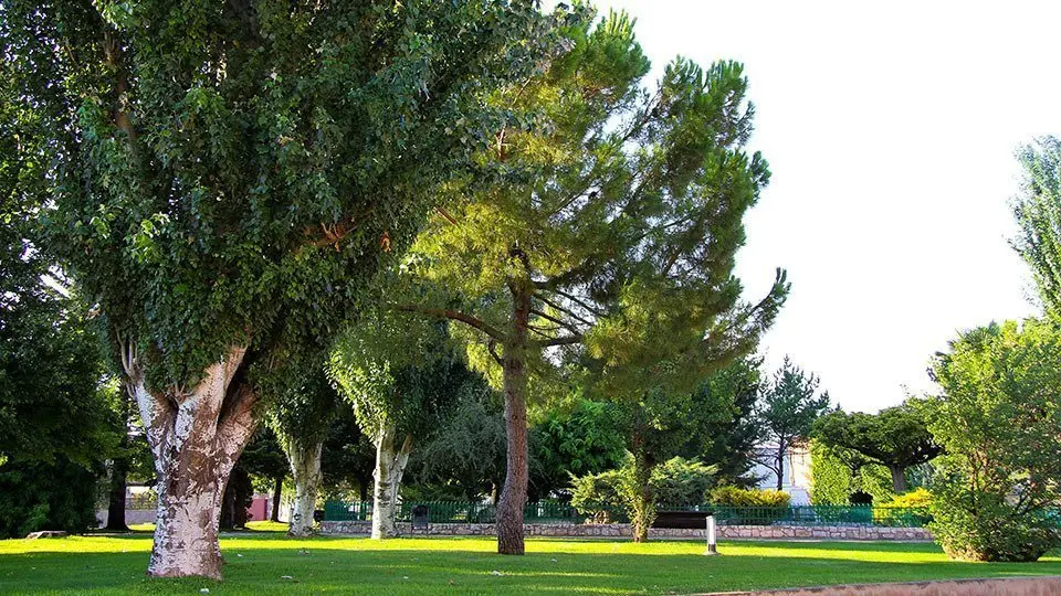 Plaça Catalunya del Palau d'Anglesola @Territoriscat