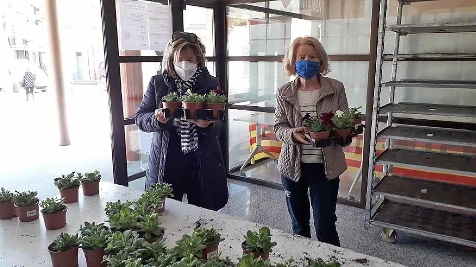 Veïnes de Térmens recollint les petúnies a l'Ajuntament@AjTèrmens