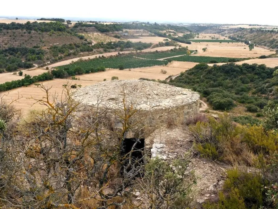 GRANYENA DE SEGARRA