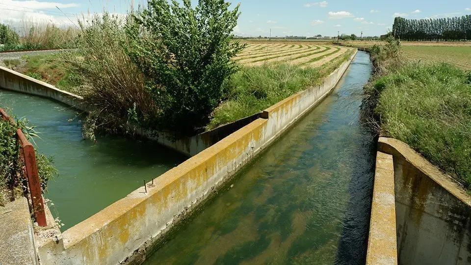 Imatge del Canal Auxiliar al terme de Sidamon @JosepA.Pérez