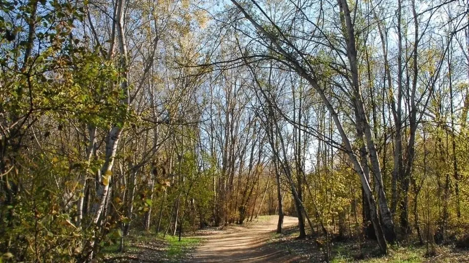 Parc de la Mitjana de Lleida.