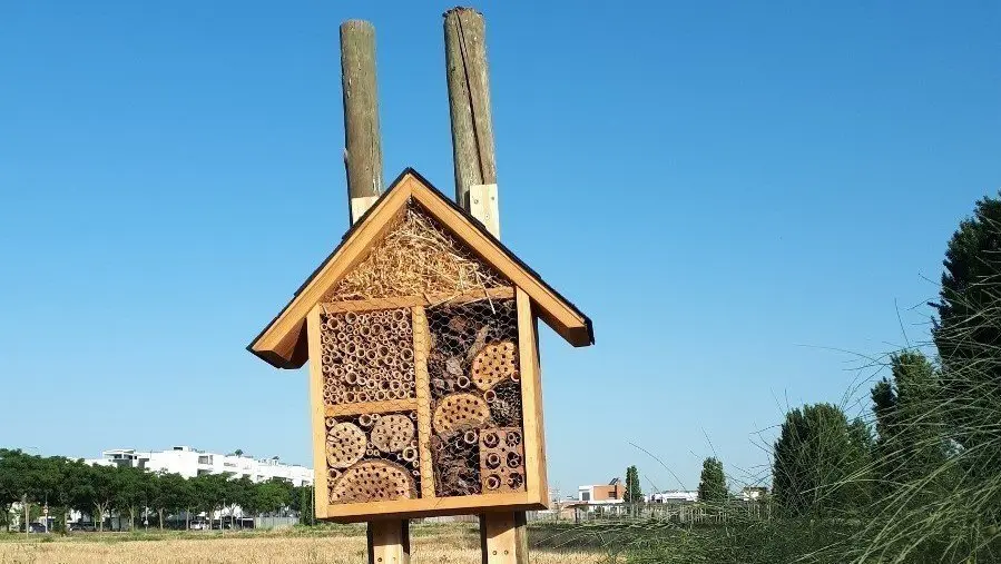 Pla obert d'un dels dos 'hotels' per a insectes instal·lats al campus de l'ETSEA de la Universitat de Lleida, el 6 de juliol del 2021. (Horitzontal) - Cedida per ETSEA-UdL