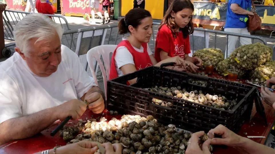 Laura Alcalde
Pla mitjà dels membres d'una de les colles de l'Aplec del Caragol de Lleida triant i netejant caragols per dinar. L'1 de juny de 2019. (Horitzontal)