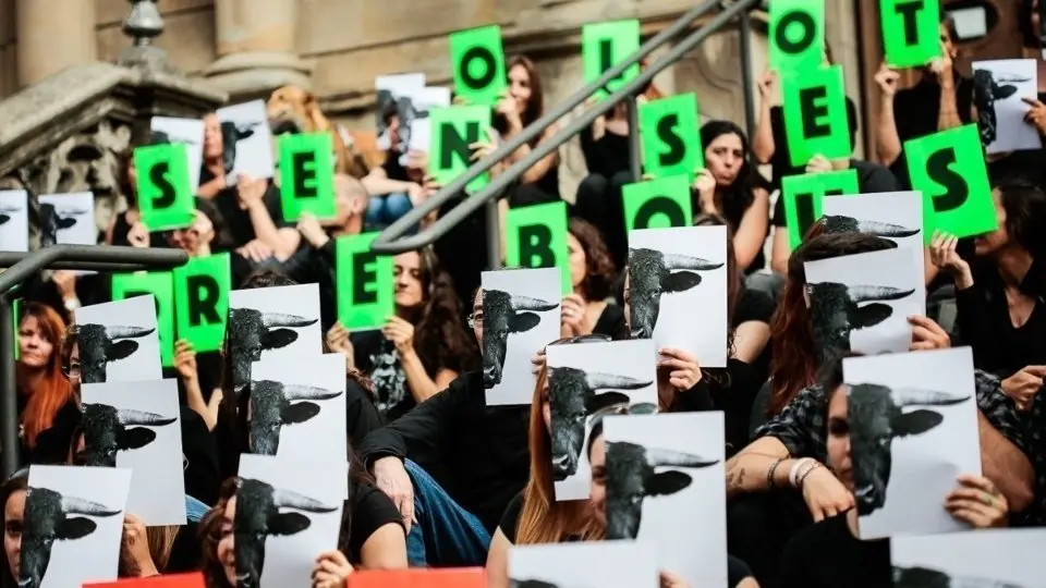 Imatge d'arxiu on s'exigeix votar 'Sí' a abolir els correbous. Foto: Martí Albesa.