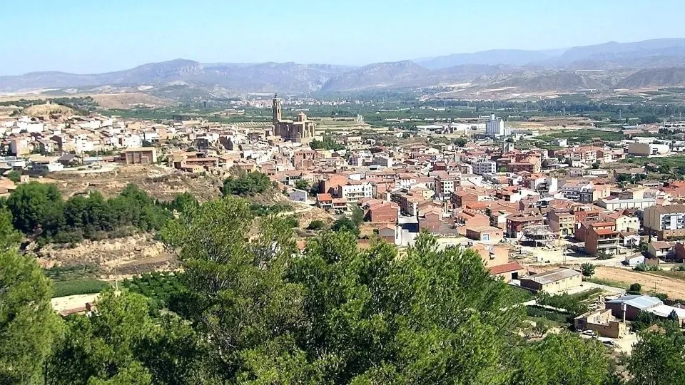 Vista panoràmica d'Almenar.