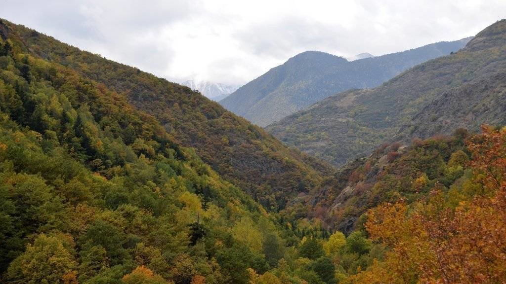 divendres, 11 novembre 2016 11:17
Marta Lluvich
Imatge d'un bosc amb colors de tardor al Parc Natural e l'Alt Pirineu a la zona de Bonabé. (horitzontal)