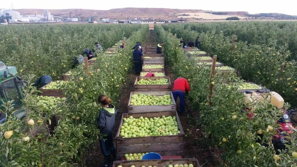 Finques de l'Escola Agrària d'Alfarràs @EAAlfarràs