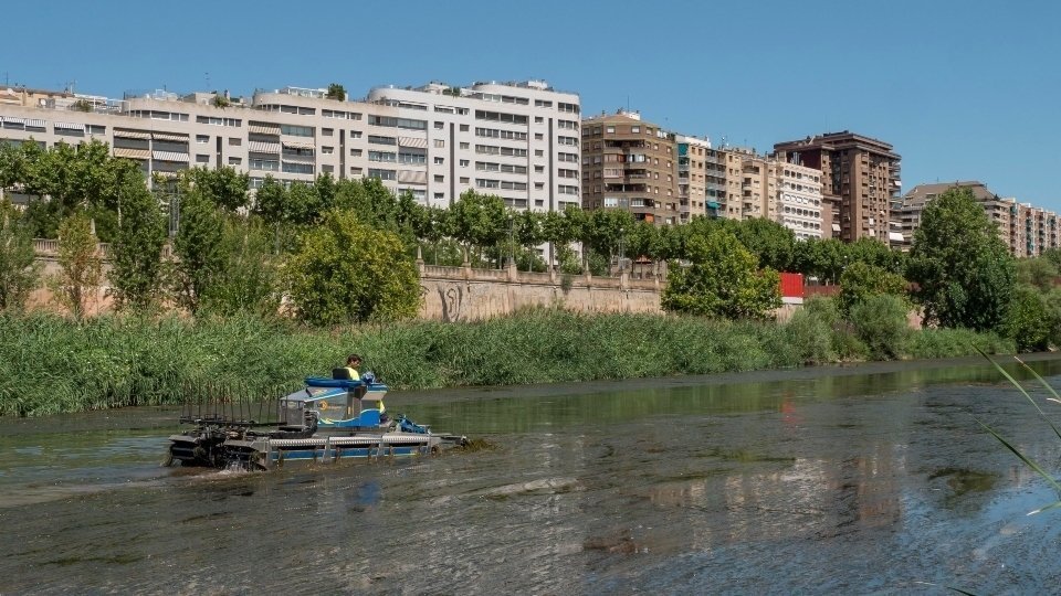Tasques de neteja del riu Segre al seu pas per Lleida.