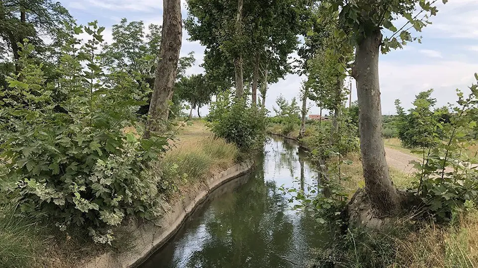 Imatge de la séquia del Canal d'Urgell al terme de Borges