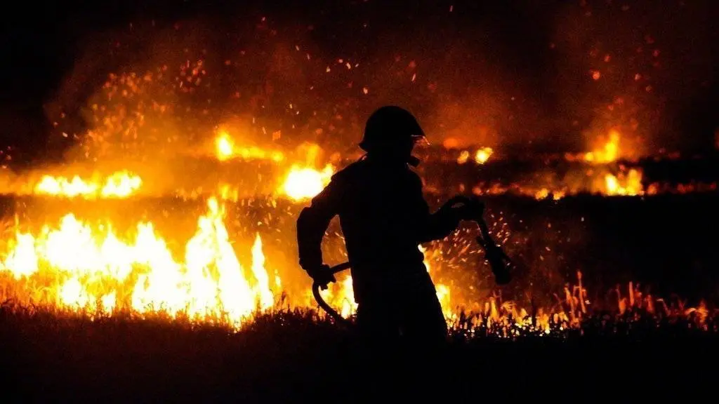 L’estudi ha estat liderat pel CTFC, amb la participació de la Universidad Católica de Chile i el CREAF - Foto: cedida per CTFC / incendis foc incendi forestal bombers