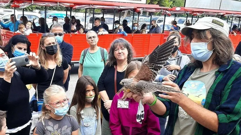 Alliberament d'un xoriguer . Al fons, el trenet turístic (1) a  la Fira del Medi Ambient de Tàrrega - Foto: Ajuntament de Tàrrega