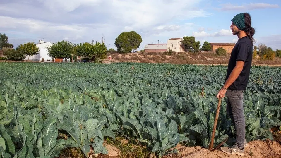 Jove pagès a l'Horta de Lleida ©JosepAPérez