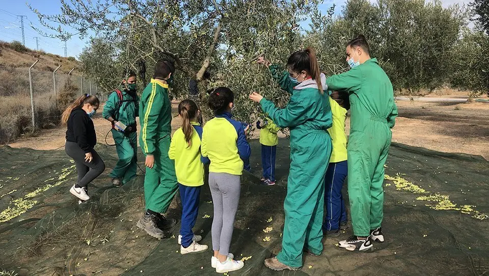 Escola Agrària de les Borges Blanques ©Agricultura