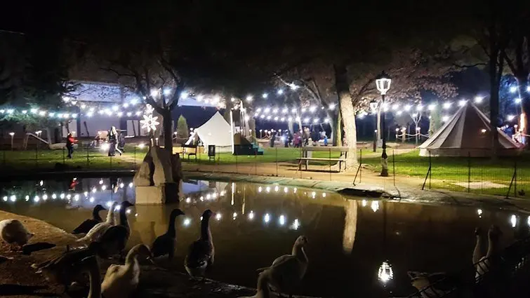 Campament de Reis a Ivars d'Urgell (6)