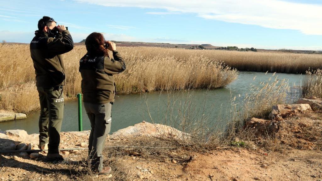 Dos efectius dels Agents Rurals inspeccionant el pantà d'Utxesa en busca d'ocells que podrien haver mort per grip aviària ©Salvador Miret
