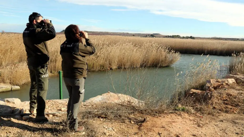 Dos efectius dels Agents Rurals inspeccionant el pantà d'Utxesa en busca d'ocells que podrien haver mort per grip aviària ©Salvador Miret