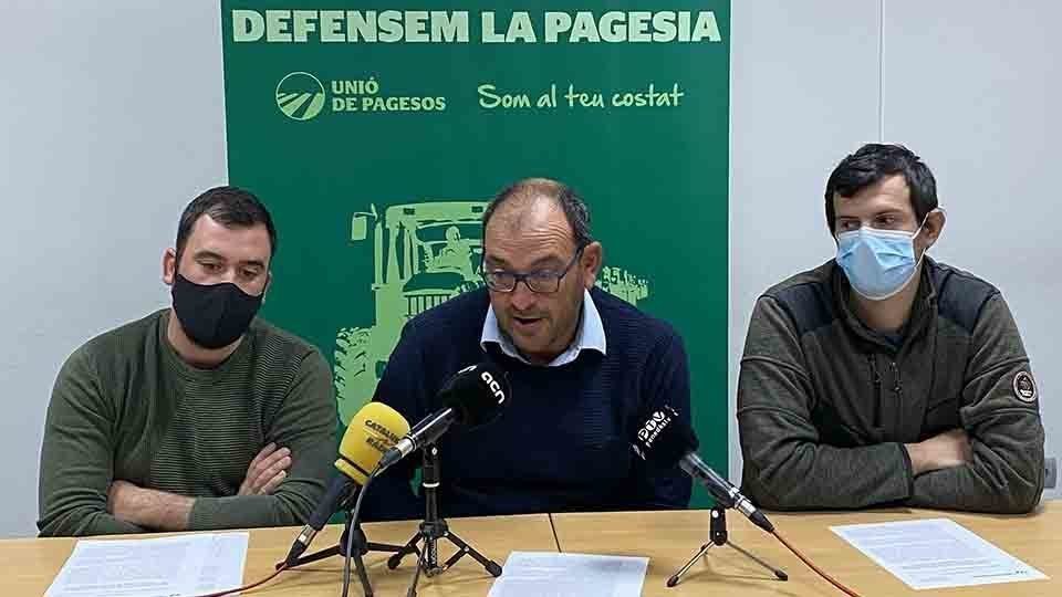 Josep Marrugat, Marc Paladella, i Nil Font d'UP ©UP
