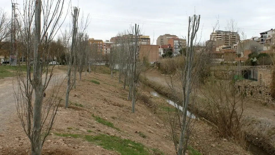 Llera del riu Ondara