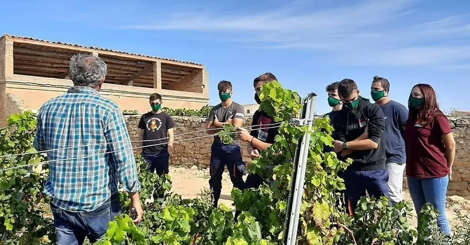 Alumnes fen pràctiques en l'EA de Gandesa ©Agricultura