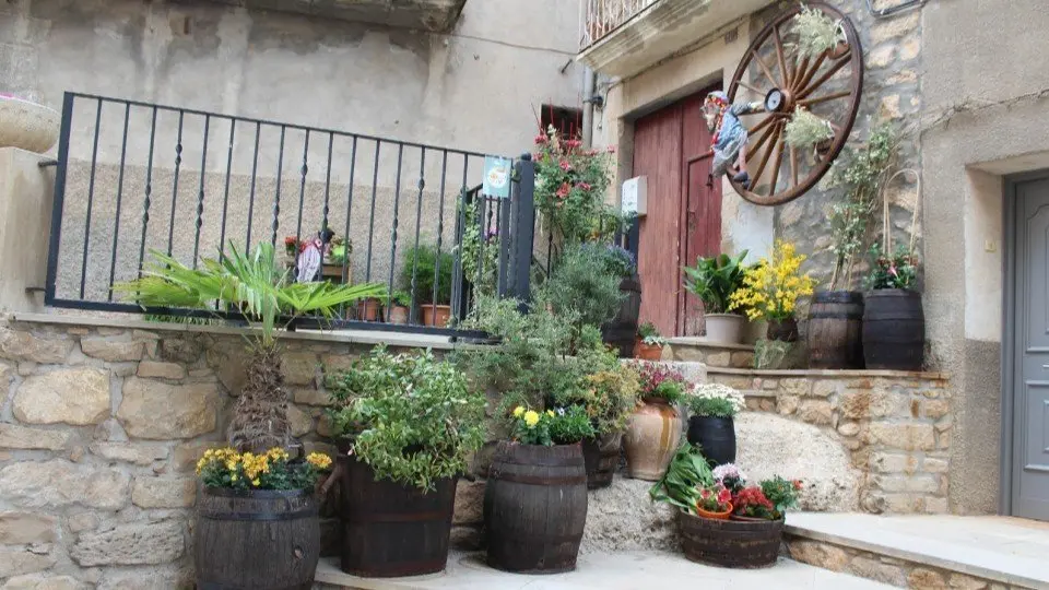 Les Garrigues en Flor a l'Albi ©CCGarrigues