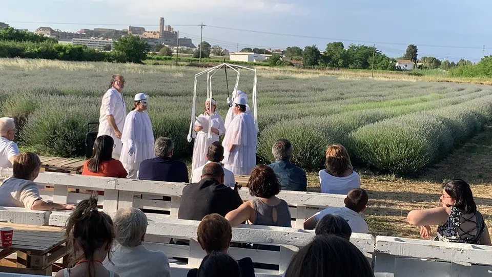 Floració de la Lavanda 2022 a Cal Rosselló ©CalRosselló (3)