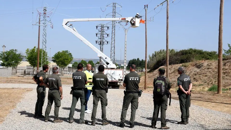 Efectius del cos d'Agents Rurals en una jornada de formació a Lleida ©Salvador Miret