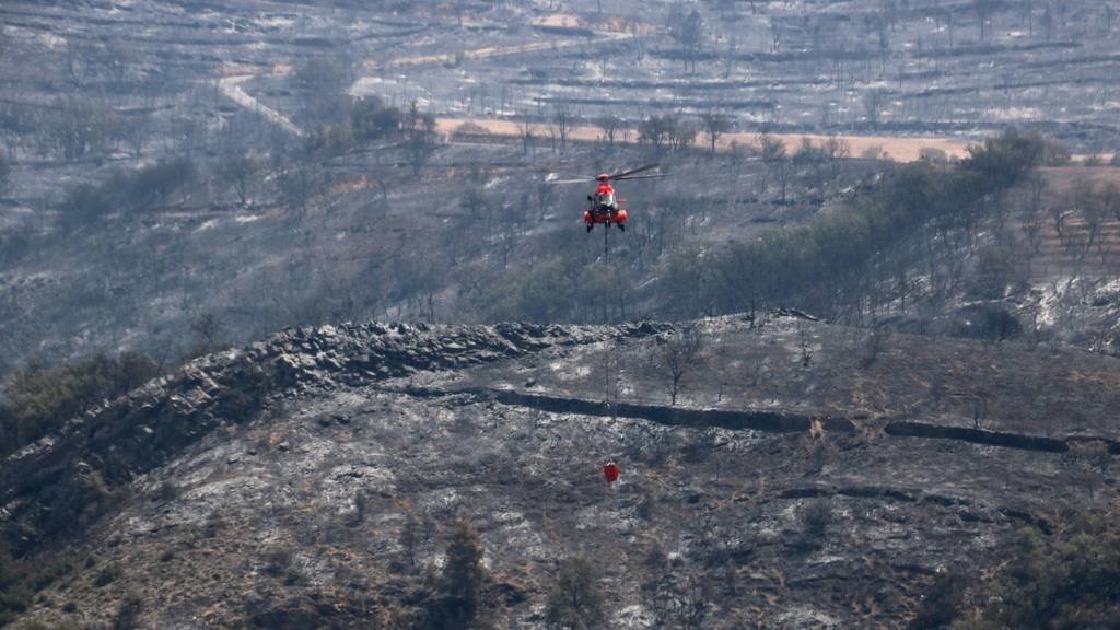 Un helicòpter treballant a l'incendi d'Artesa de Segre

Data de publicació: divendres 17 de juny del 2022, 13:59

Localització: Alòs de Balaguer

Autor: Salvador Miret / Anna Berga