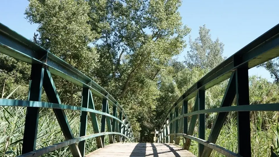 Refugi climàtic del Parc de la Mitjana. Fotografia: Cristina Mongay.