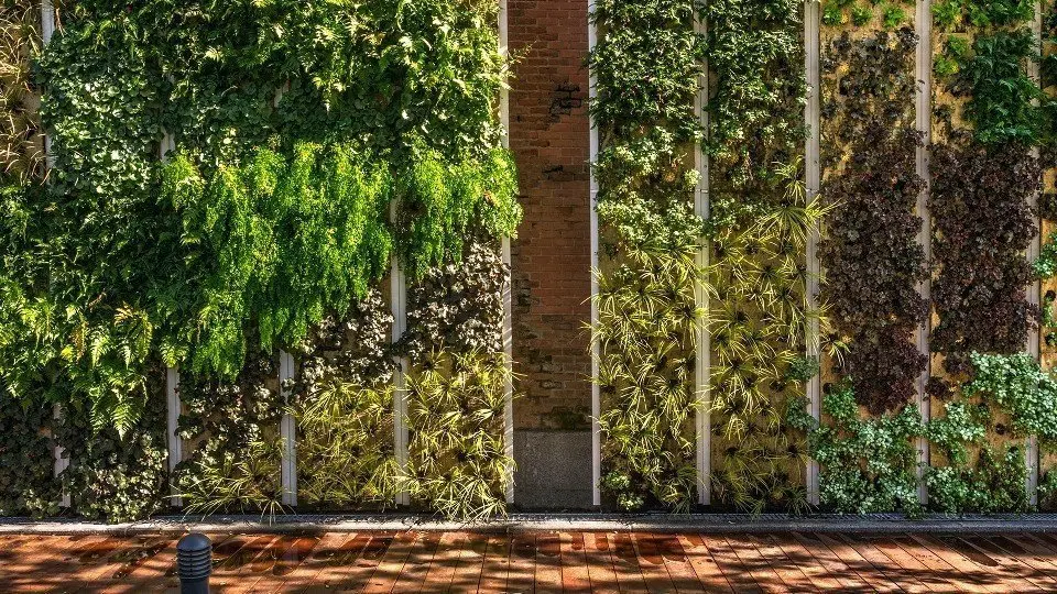 El jardí vertical del Parque Bravo Murillo de Madrid ©Sorigué