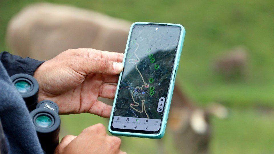 Un mòbil on es veu la localització dels animals amb collar GPS ©Marta Lluvich