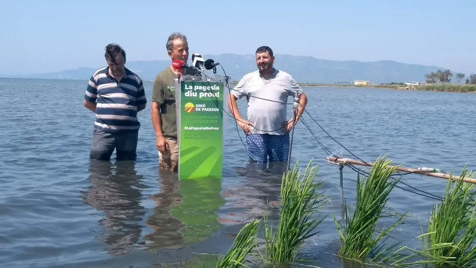 El Coordinador nacional d'Unió de Pagesos, Joan Caball; el responsable nacional del sector de l'Arròs d'Unió de Pagesos, Albert Pons; i el responsable de Sectors Agrícoles d'Unió de Pagesos, Miquel Piñol en una roda de premsa a la badia dels Alfacs ©Unió de Pagesos