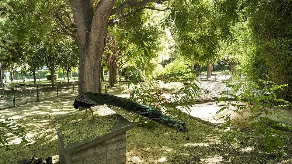 Parc Municipal de Mollerussa ©JosepAPérez