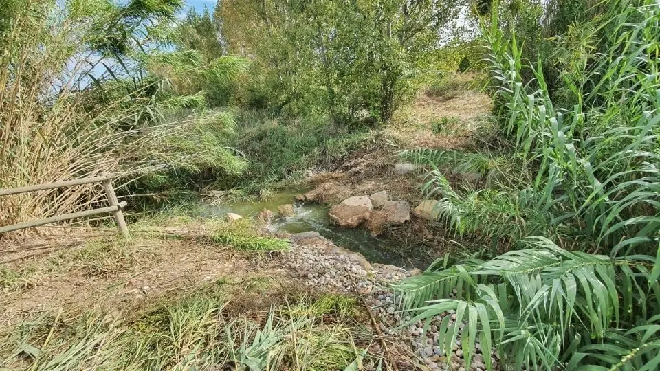 Pantà de l'Arròs d'Alcarràs. Fotografia: Ajuntament d'Alcarràs.