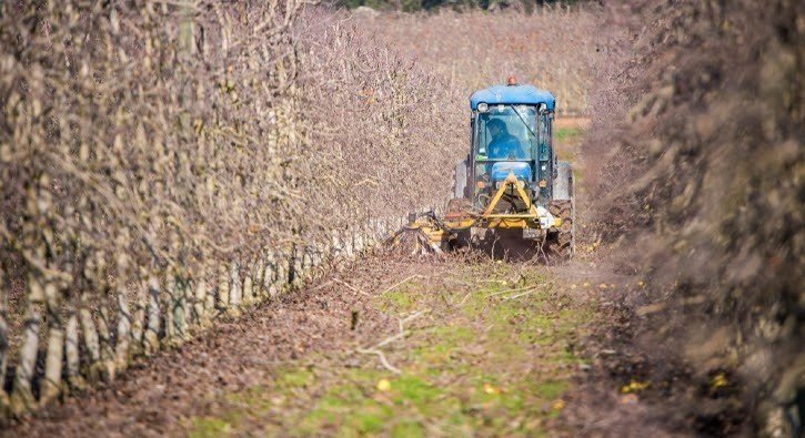 tractor agrícola camp finca arbres fruiters fruita - Foto: Acció Climàtica