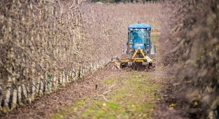 tractor agrícola camp finca arbres fruiters fruita - Foto: Acció Climàtica